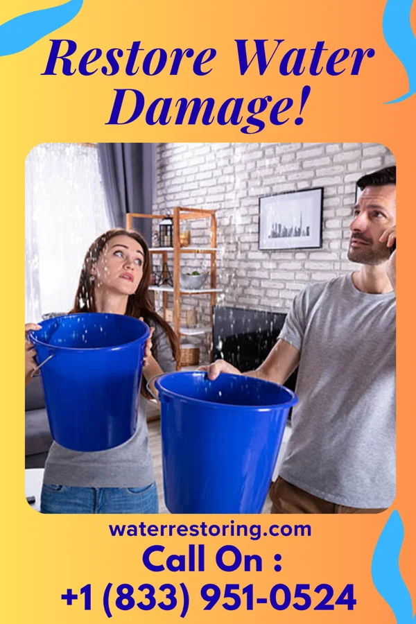 water restoration Quick Sewage Cleanup Pros Pelham Manor