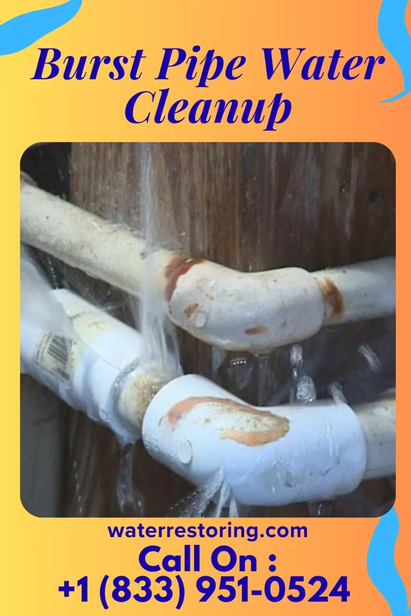 Burst Pipe Water Cleanup in Pelham Manor, NY