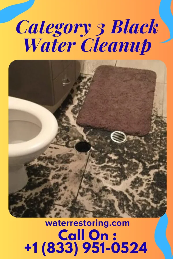 Category 3 Black Water Cleanup in Pelham Manor, NY