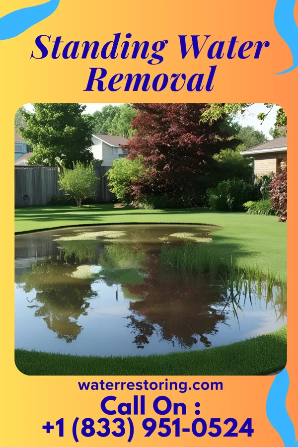 Standing Water Removal in Pelham Manor, NY